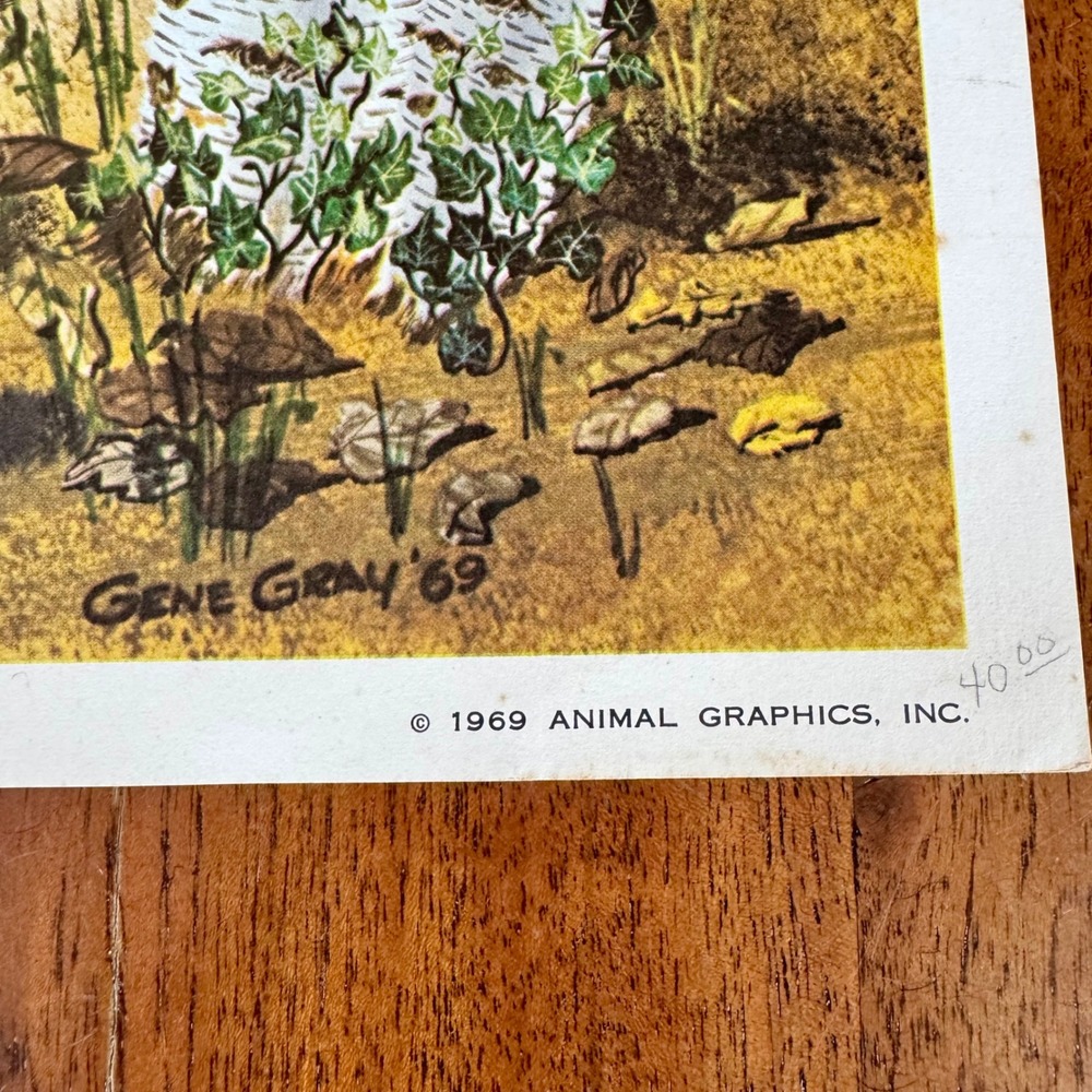 Vintage 1969 Gene Gray The American Red Fox Signed Lithograph Print 18x22 - Picture 3 of 9